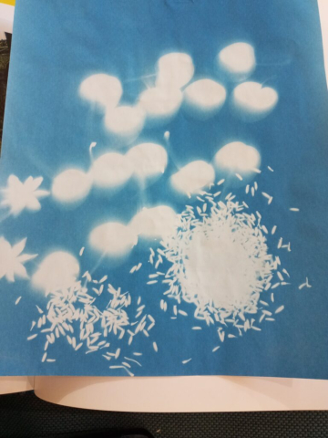 cyanotype photograph