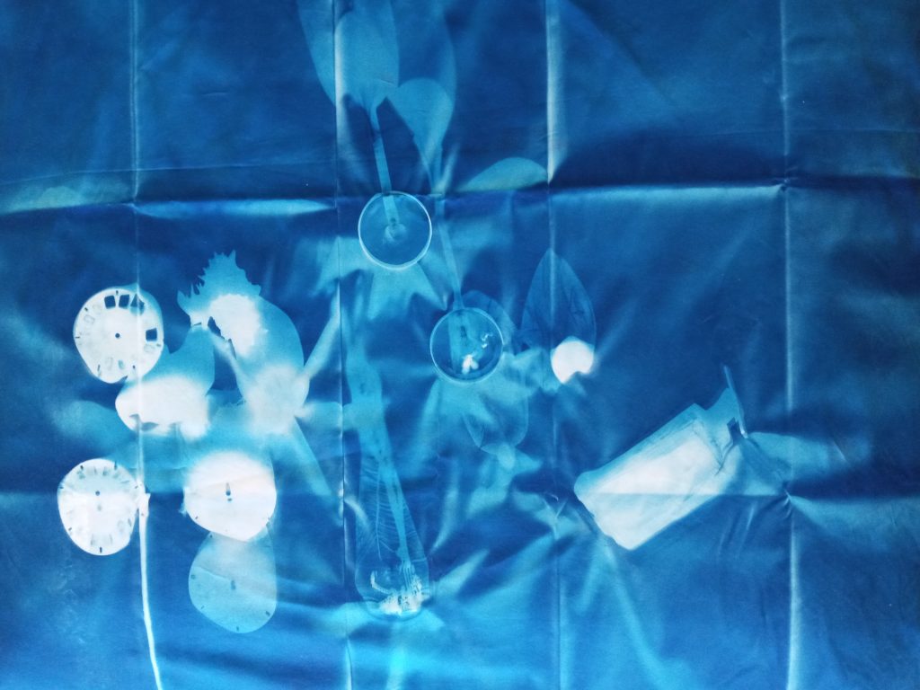 cyanotype photography on canvas